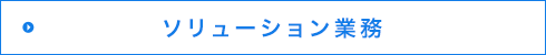 ソリューション業務